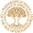maharishi-of-the-age-enlightenment3